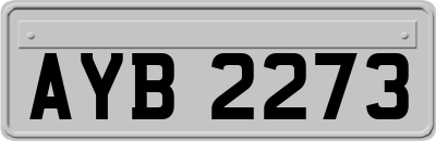 AYB2273