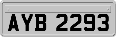 AYB2293