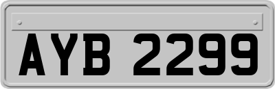 AYB2299