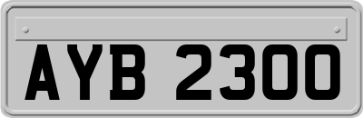 AYB2300