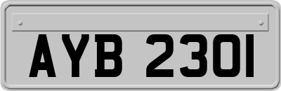 AYB2301
