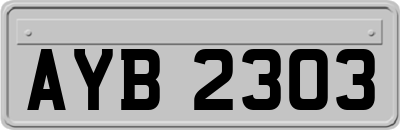 AYB2303
