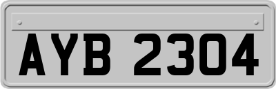 AYB2304