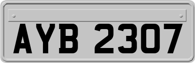 AYB2307