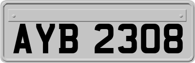 AYB2308
