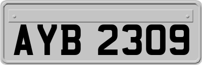 AYB2309