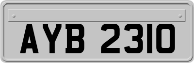 AYB2310