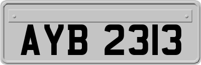 AYB2313