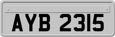 AYB2315
