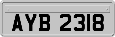 AYB2318