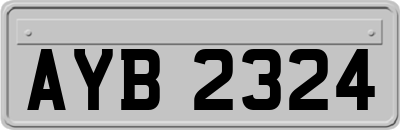 AYB2324