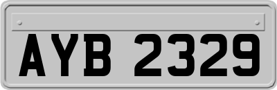 AYB2329