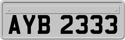 AYB2333