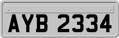 AYB2334