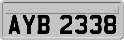 AYB2338