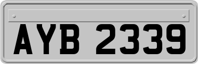 AYB2339