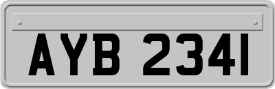 AYB2341