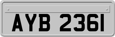 AYB2361