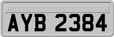 AYB2384