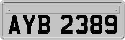 AYB2389