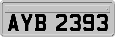 AYB2393