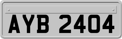 AYB2404