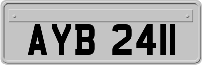 AYB2411