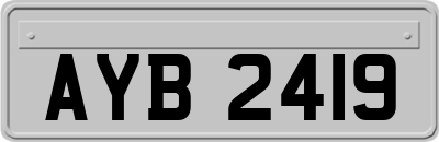 AYB2419