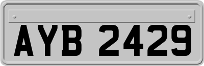 AYB2429
