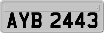 AYB2443