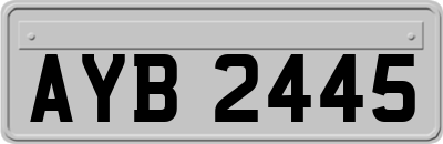 AYB2445