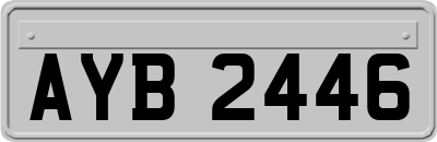 AYB2446