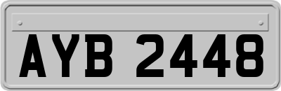 AYB2448