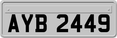 AYB2449