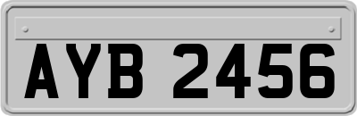AYB2456