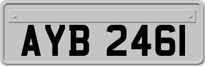 AYB2461