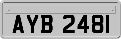 AYB2481
