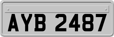 AYB2487