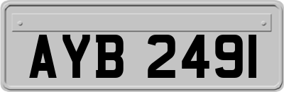 AYB2491