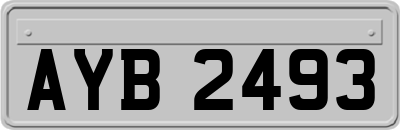 AYB2493