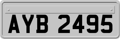 AYB2495
