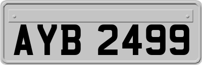 AYB2499
