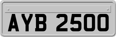 AYB2500
