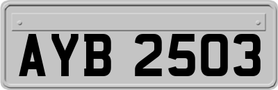 AYB2503
