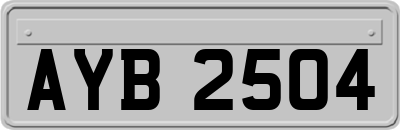 AYB2504