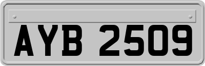 AYB2509