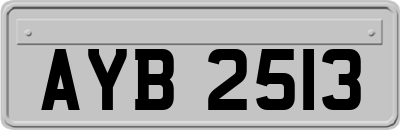 AYB2513