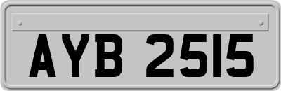 AYB2515