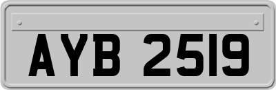 AYB2519