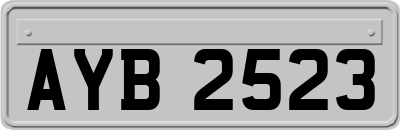 AYB2523